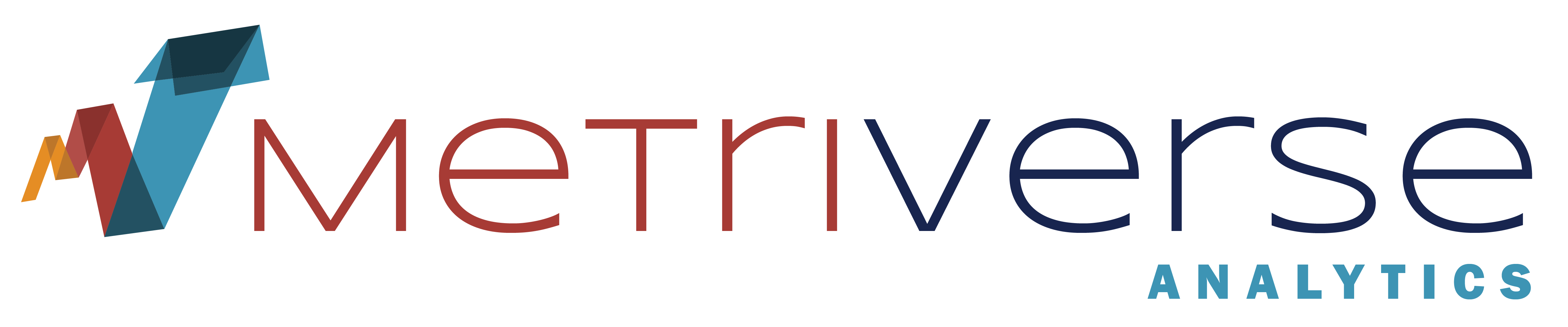 metriverse analytics logo